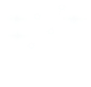 Neuro Logo 120